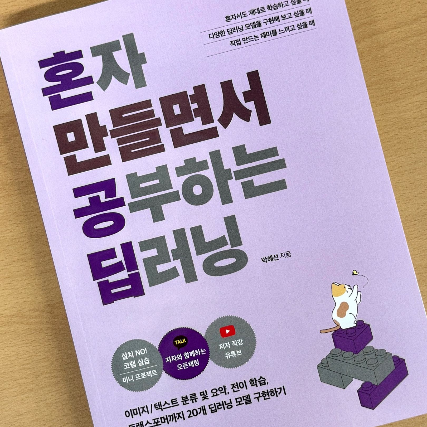 딥러닝 프로젝트 『혼자 만들면서 공부하는 딥러닝』  톺아보기
